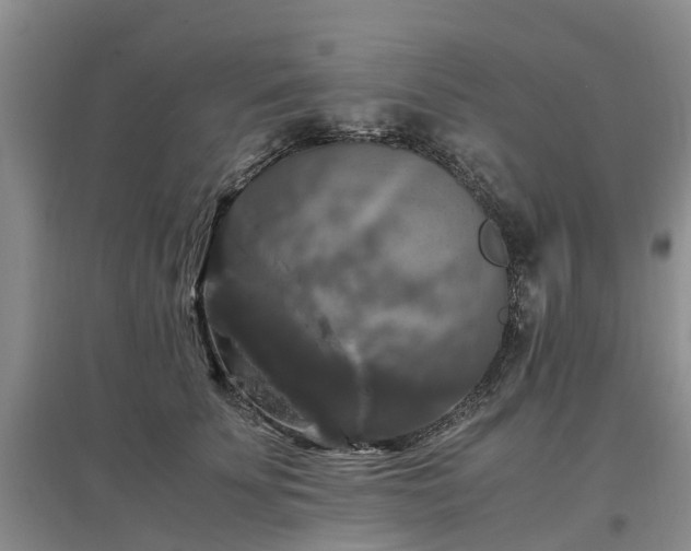 X0000097000707200802151414