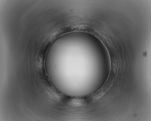 X0000097000708200802151414