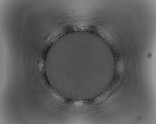 X0000097000709200802151414