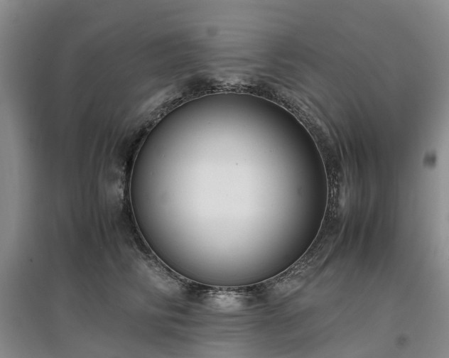 X0000097000710200802151414