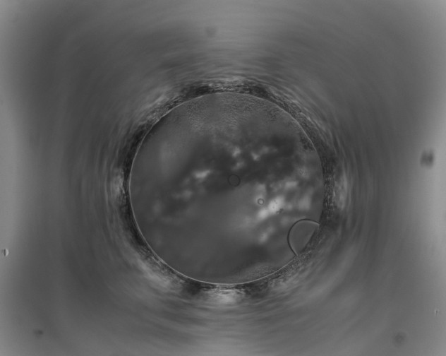 X0000097000711200802151414