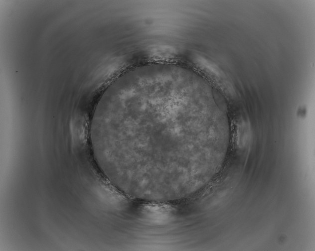 X0000097000712200802151414