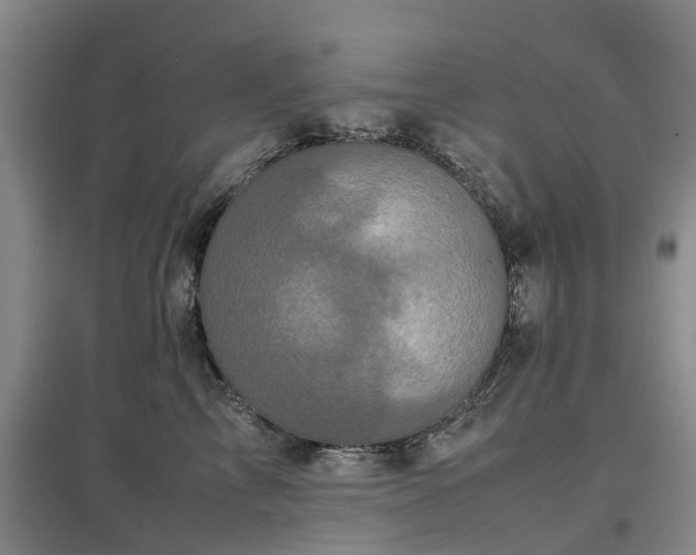 X0000097000713200802151414