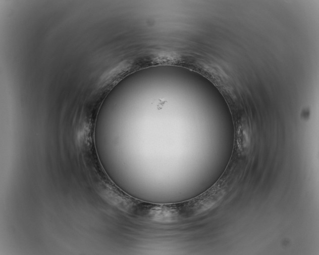 X0000097000714200802151414