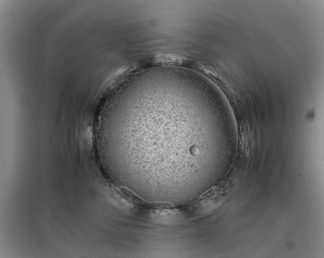 X0000097000716200802151414