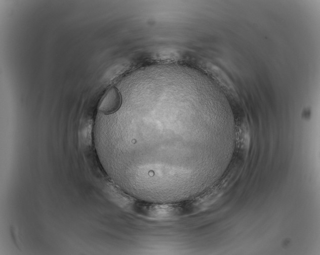 X0000097000717200802151414