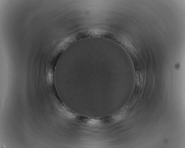 X0000097000718200802151414
