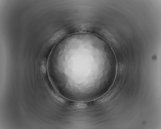 X0000097000719200802151414
