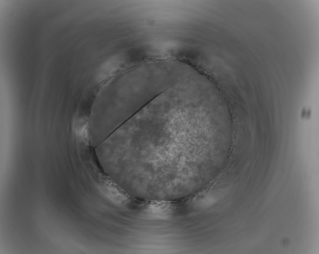 X0000097000720200802151414