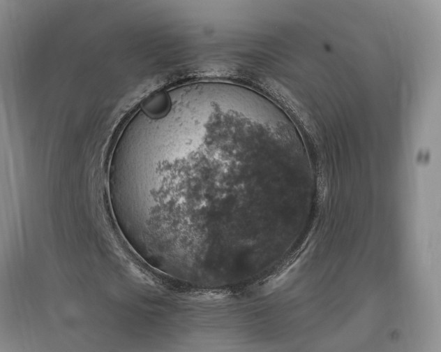 X0000097000721200802151413