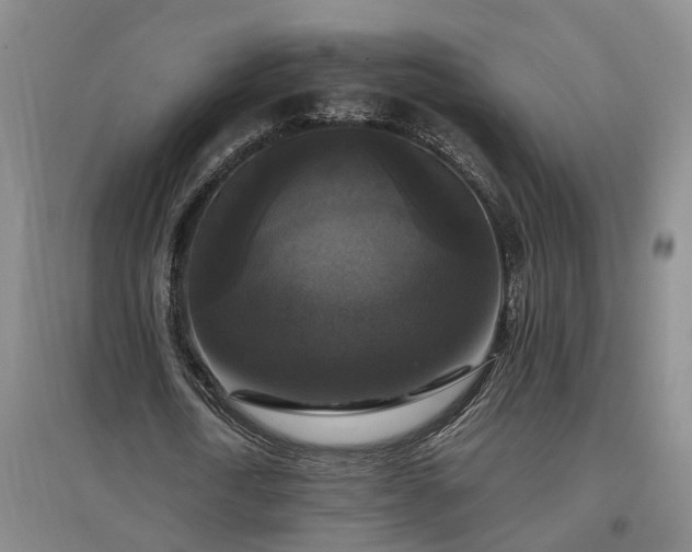 X0000097000722200802151413