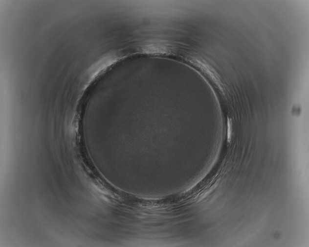 X0000097000723200802151413