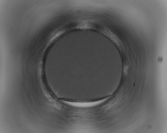 X0000097000724200802151413