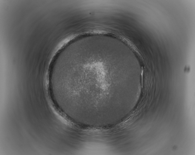 X0000097000726200802151413