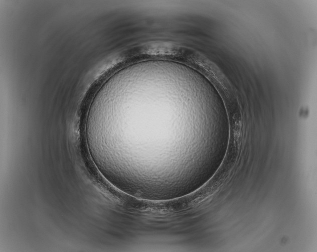 X0000097000727200802151414