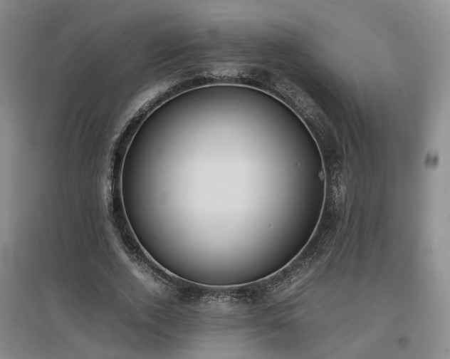 X0000097000728200802151414