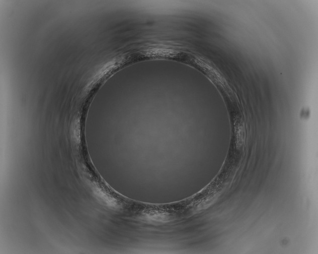 X0000097000729200802151414