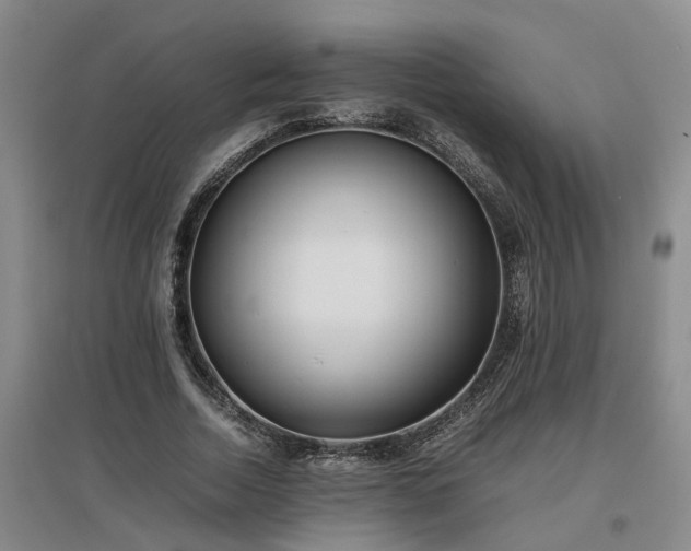 X0000097000730200802151414