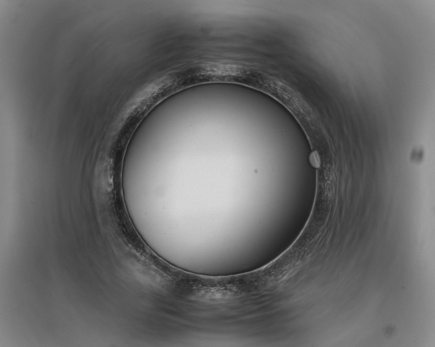 X0000097000731200802151414