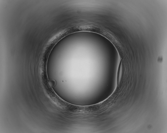 X0000097000732200802151414