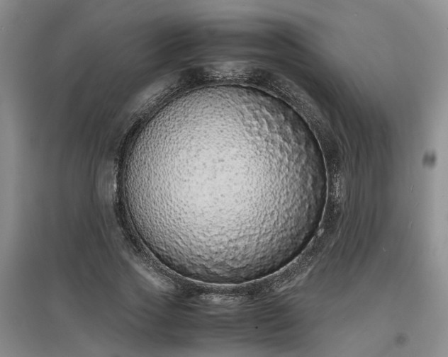 X0000097000733200802151414