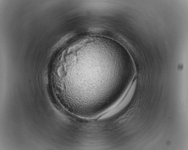 X0000097000734200802151414