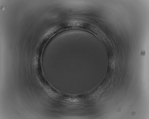X0000097000735200802151414