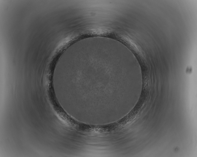 X0000097000736200802151414