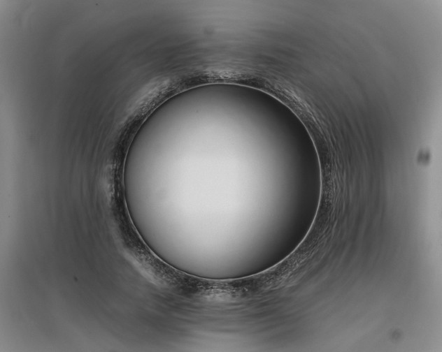 X0000097000738200802151414