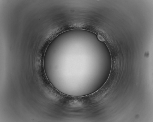 X0000097000739200802151414