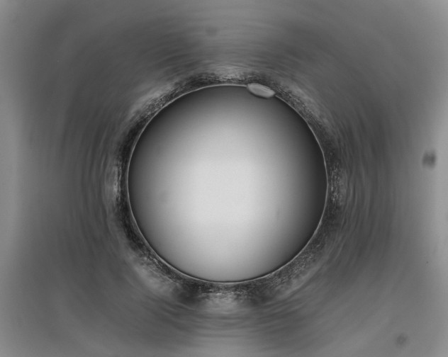 X0000097000740200802151414