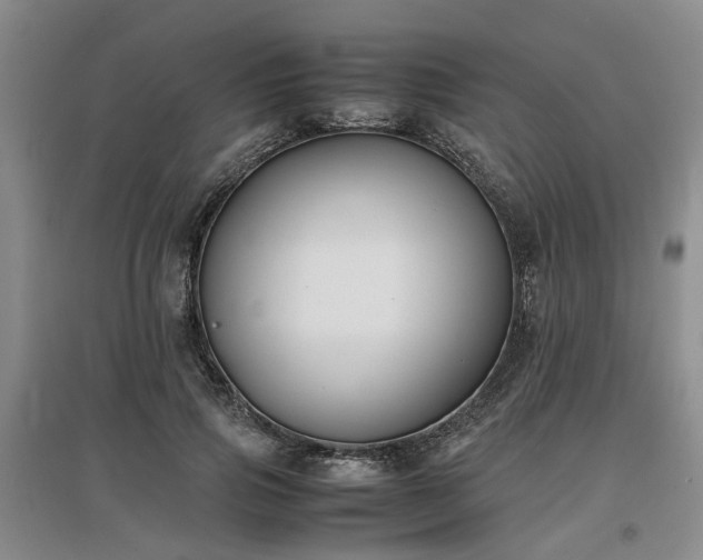 X0000097000741200802151414