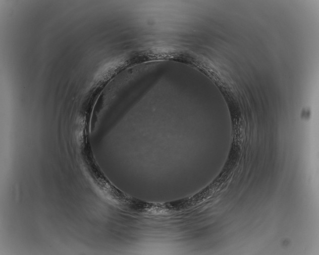 X0000097000742200802151414