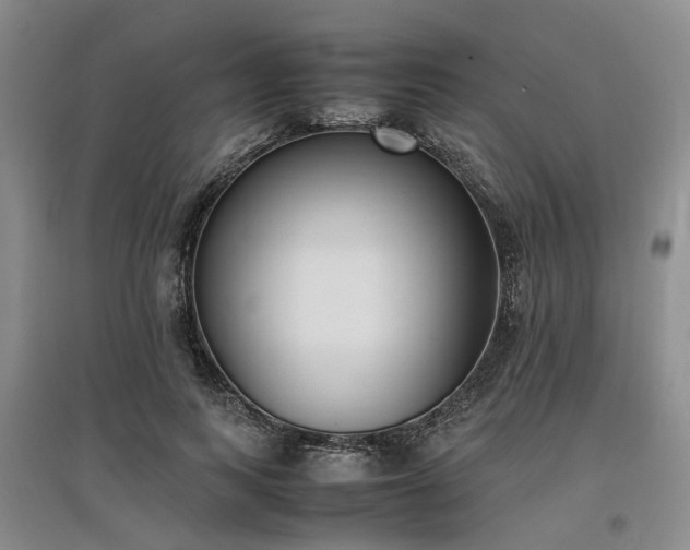 X0000097000743200802151414