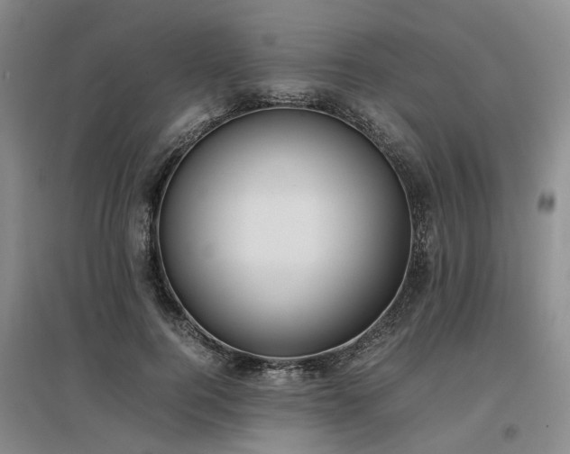 X0000097000744200802151414