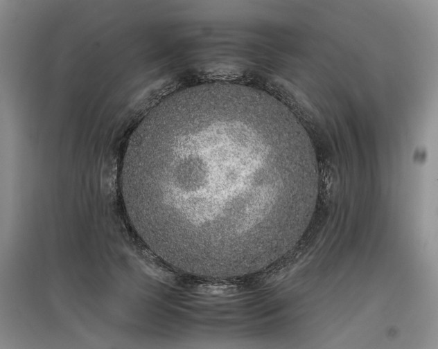 X0000097000745200802151414