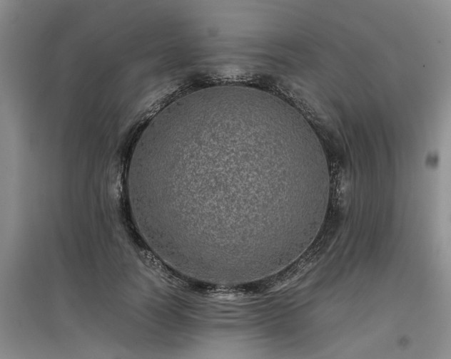 X0000097000746200802151414