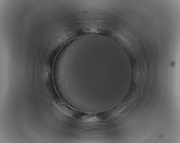 X0000097000747200802151414