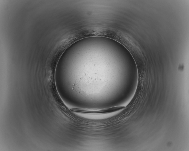 X0000097000748200802151414