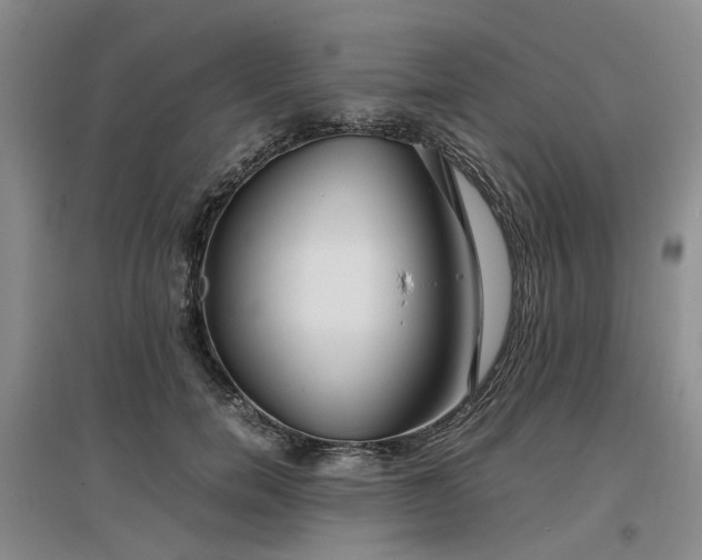 X0000097000750200802151414