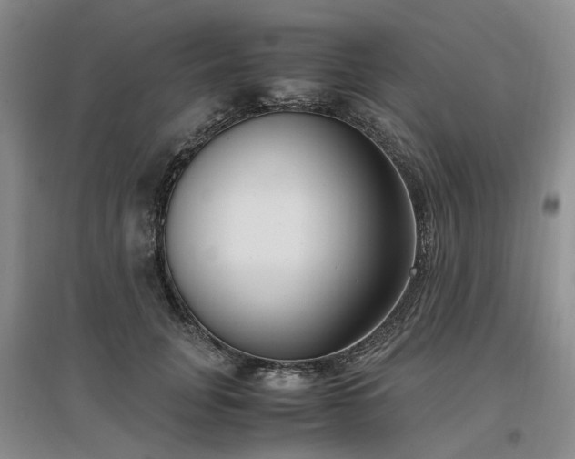 X0000097000751200802151414