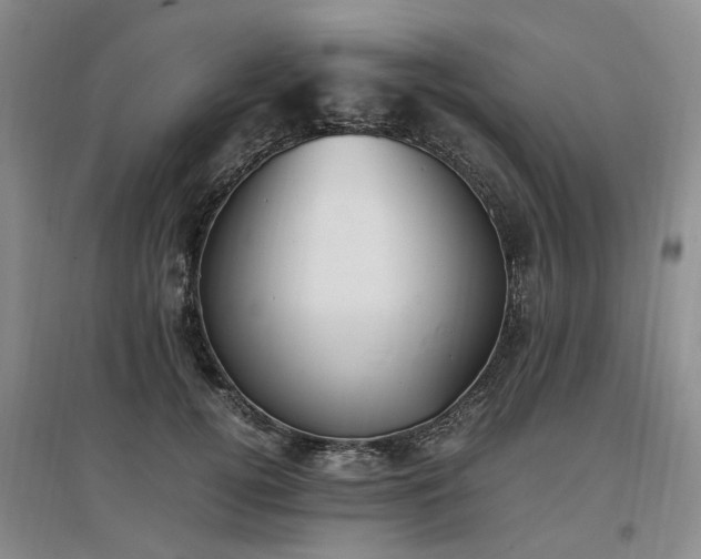 X0000097000752200802151414