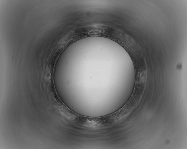 X0000097000753200802151414