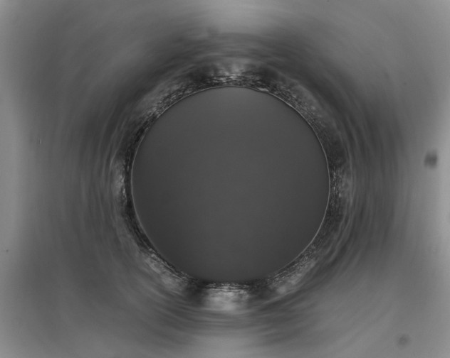 X0000097000754200802151414