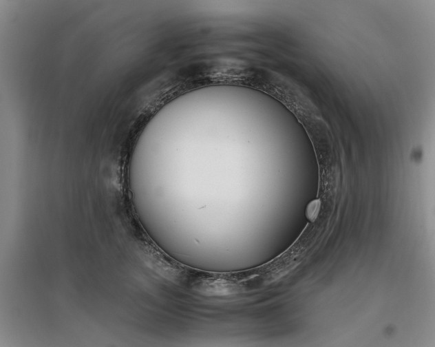 X0000097000755200802151414