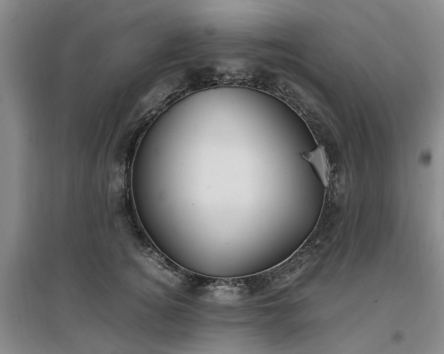 X0000097000756200802151414