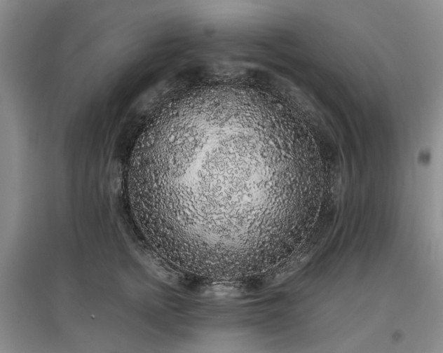 X0000097000758200802151414