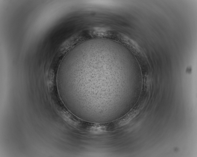 X0000097000760200802151414
