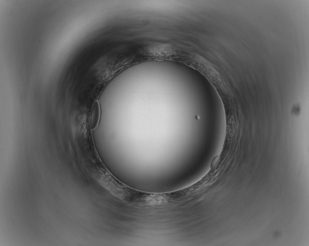 X0000097000762200802151414