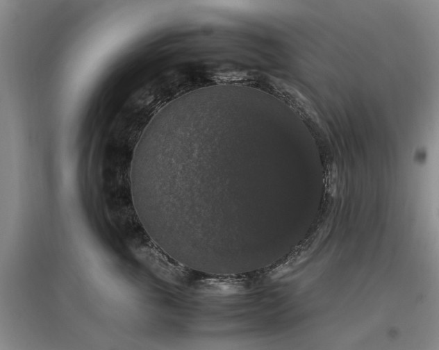 X0000097000763200802151414